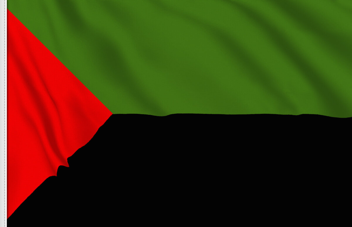 Carte Martinique drapeau rouge vert noir' T-shirt Homme