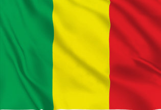 Drapeau Guinée - vente en ligne